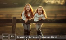 158 Realistic Rays and Floating Dust