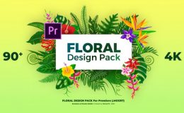 Videohive Floral Design Pack
