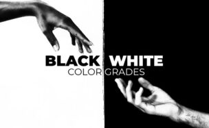 MotionArray Black And White Color Grades