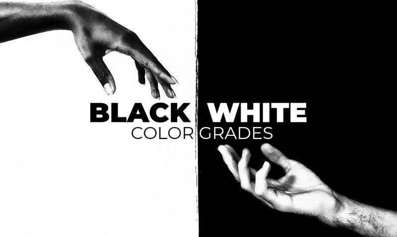 MotionArray Black And White Color Grades
