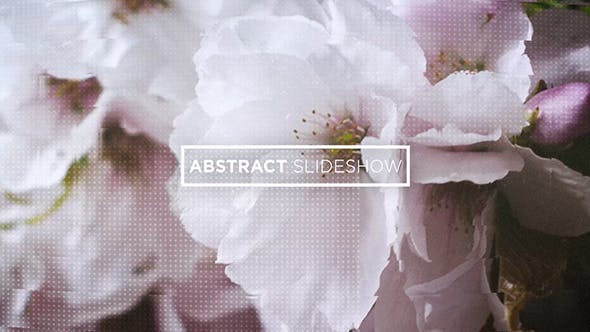 Videohive Abstract Slideshow