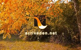 Videohive Autumn Logo - 9237706