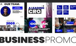 Videohive Business promo presentation