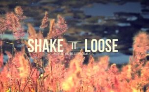 Videohive Shake It Loose