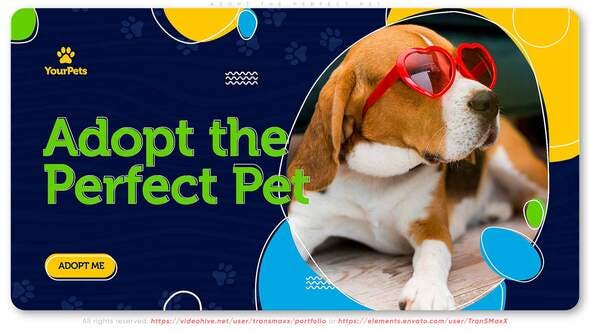 Videohive Adopt the Perfect Pet. Be a Hero!