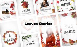 Videohive Leaves Stories