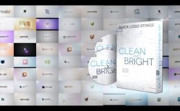 Videohive Quick Logo Sting Pack 01: Clean & Bright