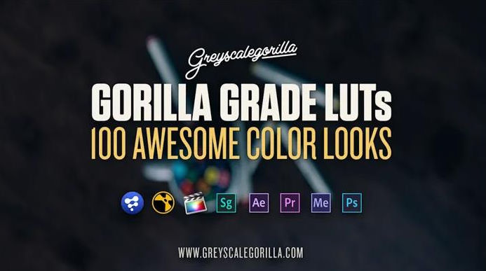 Greyscalegorilla – Gorilla Grade LUTs