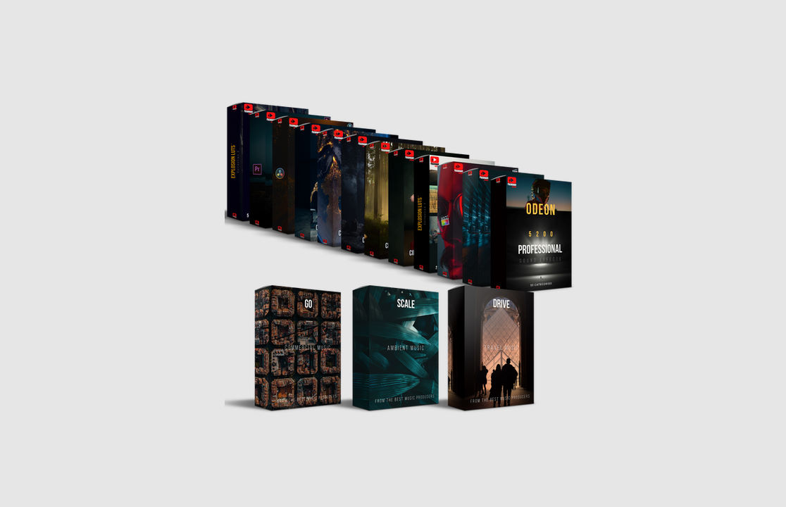 All In 2024 Motion Bundle New