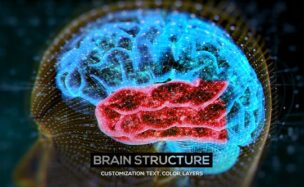 Videohive Brain Structure (4-pack)