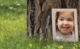 Videohive Photo Gallery in a Sunny Park