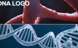 Videohive DNA Logo (2-pack)