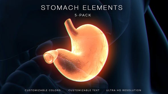 Stomach Elements – Videohive