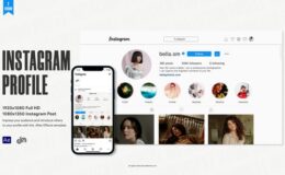 Videohive Instagram Profile