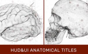 HUD UI Anatomical Titles – Videohive