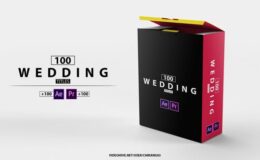 Videohive 100 Wedding Titles of Love