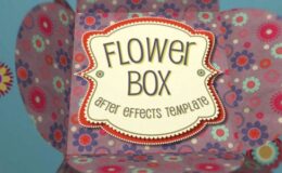 Videohive Flower Box Display