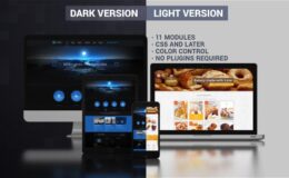 Videohive Website Presentation (Dark & Light)