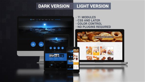 Videohive Website Presentation (Dark & Light)