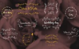 Videohive Wedding Day Titles | After Effects