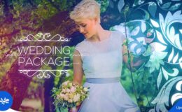 Videohive Wedding Package V2