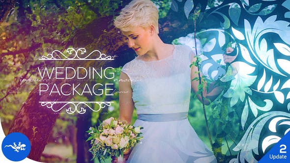 Videohive Wedding Package V2