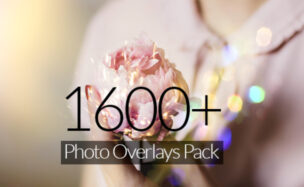 Inkydeals 1600+ Photo Overlay Pack