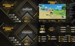 Download Streamer Broadcasting Pack - Videohive