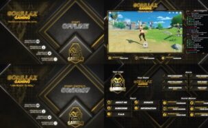 Download Streamer Broadcasting Pack – Videohive