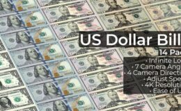 US Dollar Bills - 14 Pack - Videohive