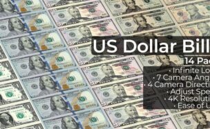 US Dollar Bills – 14 Pack – Videohive