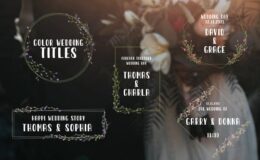 Download Color Wedding Titles - Videohive
