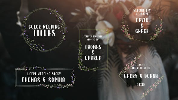 Download Color Wedding Titles – Videohive