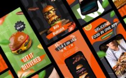 Delivery Food Stories App Promo - Videohive