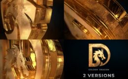 Download Gold Logo Reveal - Videohive