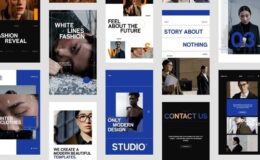Videohive Website Promo Stories Pack