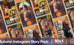 Videohive Autumn Vibes Sale Promo | Instagram Story Pack