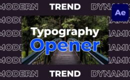 Videohive Dynamic Fast Typography Opener