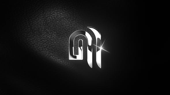 Videohive Elegant Leather Logo