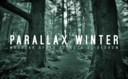 Videohive Parallax Winter