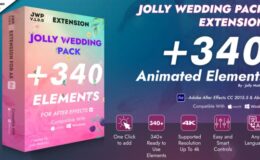 Videohive Jolly Wedding Pack