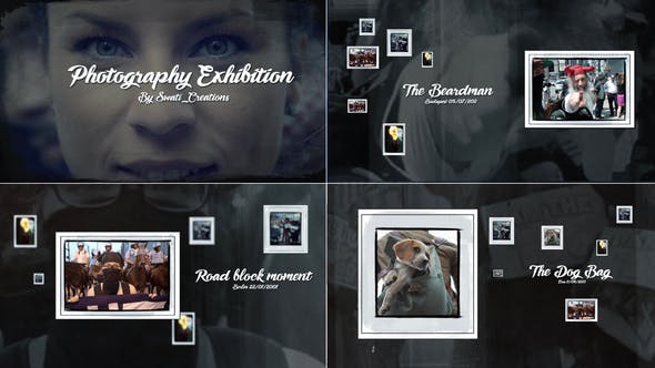 Videohive Photography Exhibition
