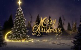 Christmas Tree Logo Reveal - Videohive