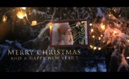 Winter Forest Christmas Opener - Videohive