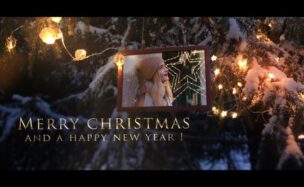 Winter Forest Christmas Opener – Videohive