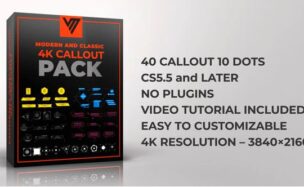Videohive Callout Pack / 4K