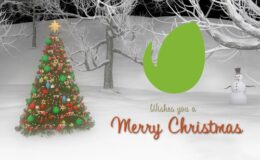 Videohive Merry Christmas Logo Intro