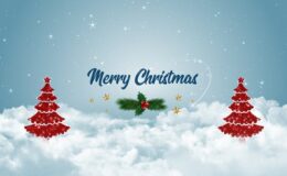 Videohive Merry Christmas Wishes