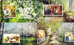 Videohive Spring Lovely Wedding Photo Slide