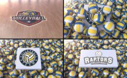 Videohive Volleyball Logo Reveal 2